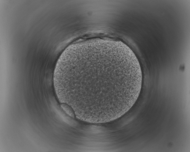 X0000113160393200910161249