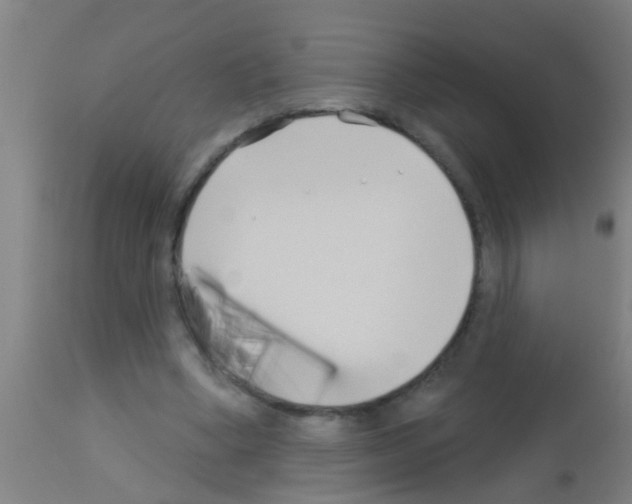 X0000113160394200910161249