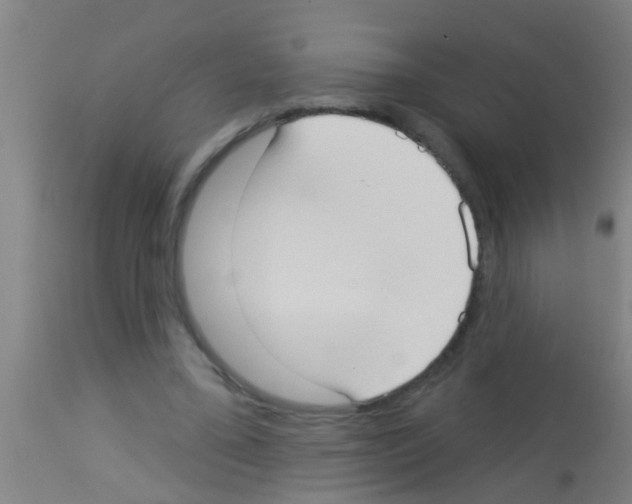 X0000113160395200910161249