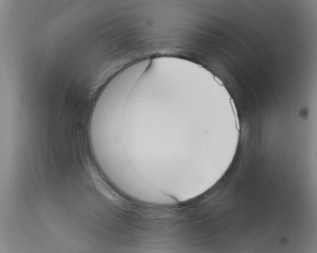 X0000113160397200910161249