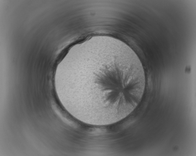 X0000113160398200910161249