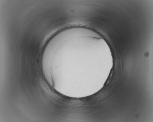 X0000113160399200910161249