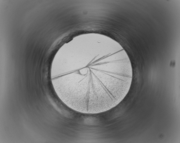 X0000113160400200910161249