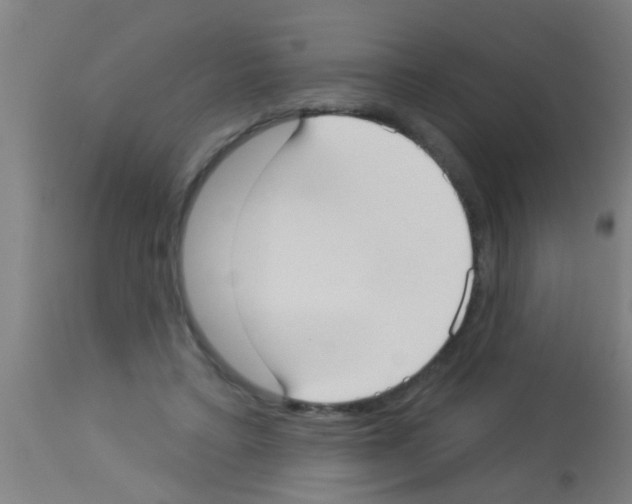 X0000113160403200910161249