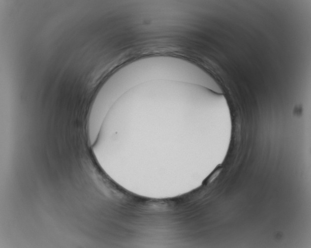 X0000113160405200910161249