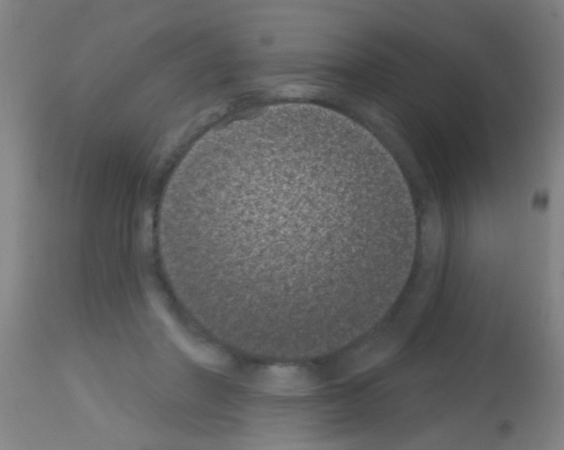 X0000113160406200910161249