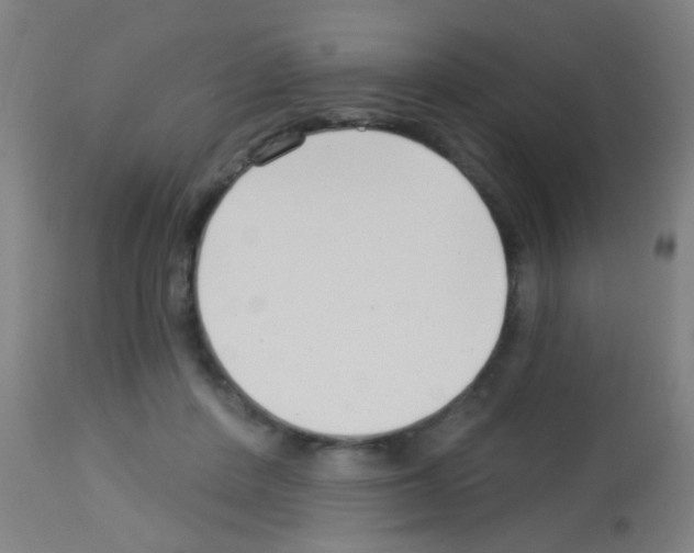 X0000113160408200910161249