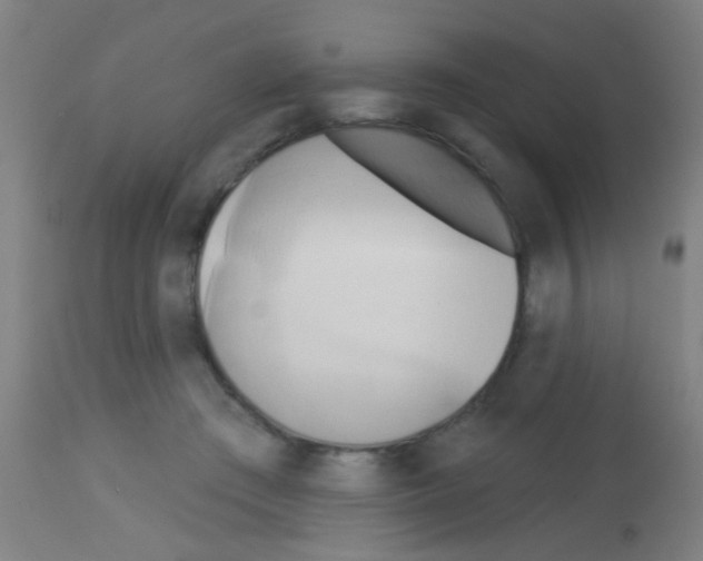 X0000113160409200910161249