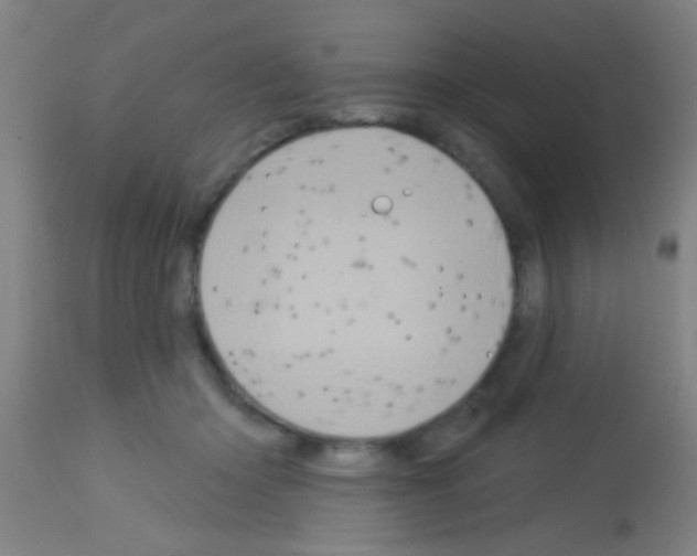 X0000113160414200910161249