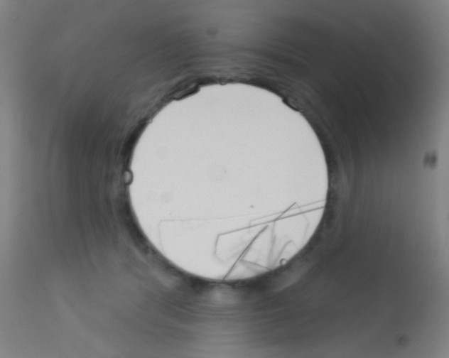 X0000113160416200910161249