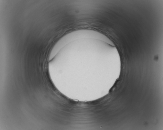 X0000113160419200910161249