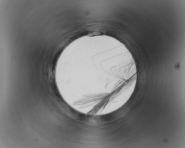 X0000113160420200910161249