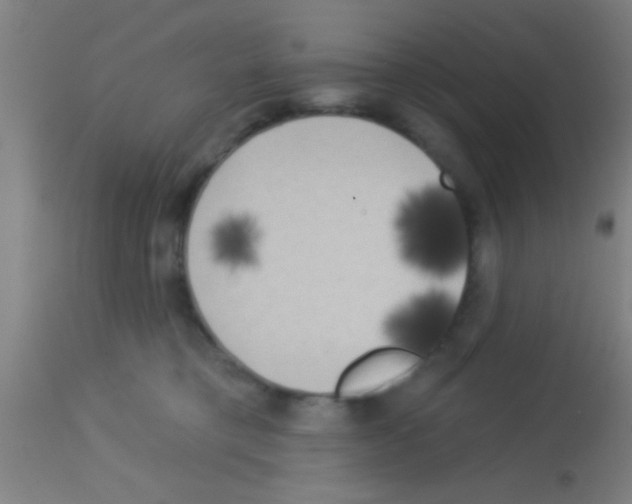 X0000113160421200910161249