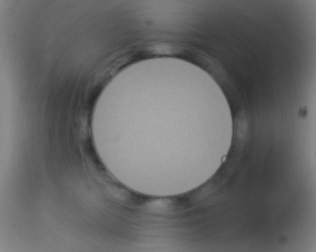 X0000113160422200910161249