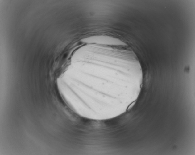 X0000113160424200910161249