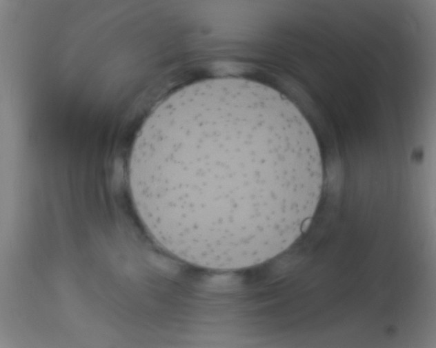 X0000113160426200910161249