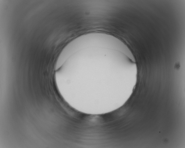 X0000113160427200910161249