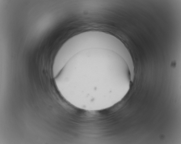 X0000113160429200910161248