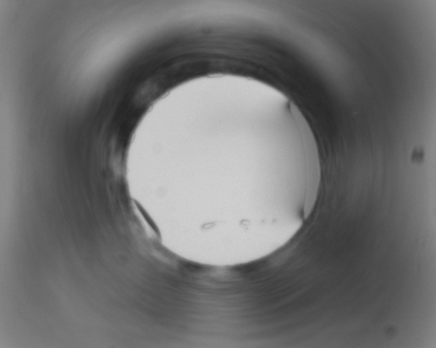 X0000113160431200910161248