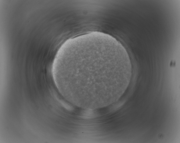 X0000113160432200910161248