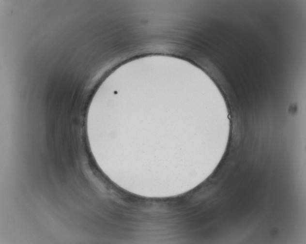 X0000113160434200910161248