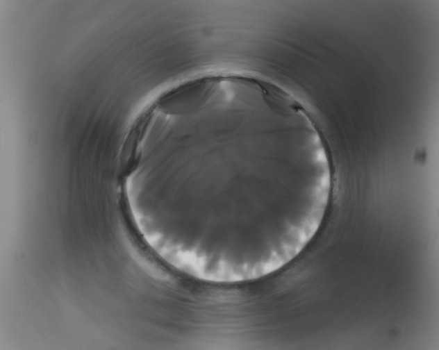 X0000113160438200910161248