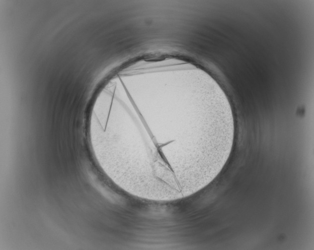 X0000113160439200910161248