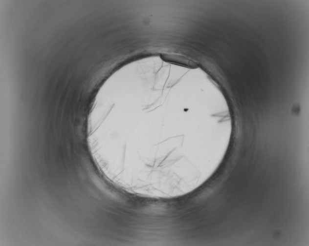 X0000113160441200910161248