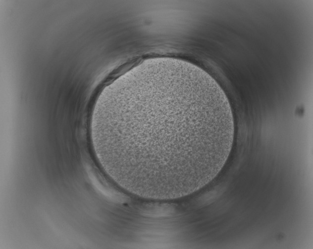 X0000113160443200910161248