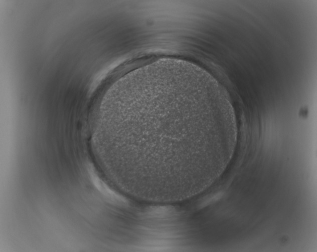 X0000113160446200910161248