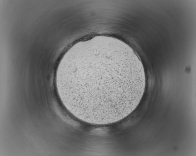 X0000113160447200910161248