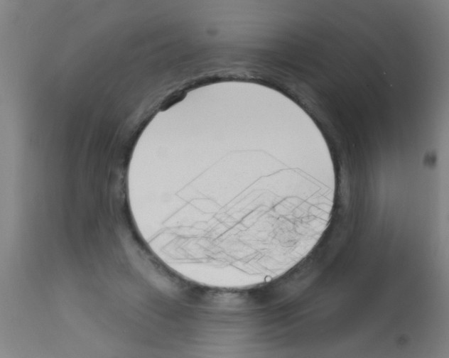 X0000113160449200910161248