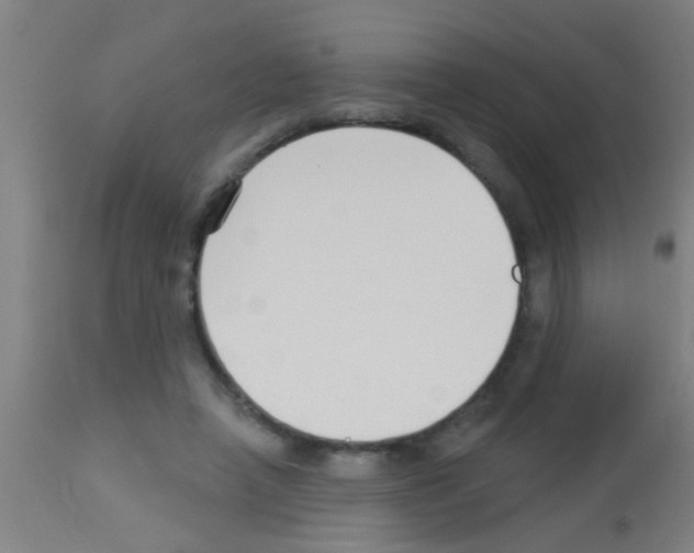 X0000113160450200910161248