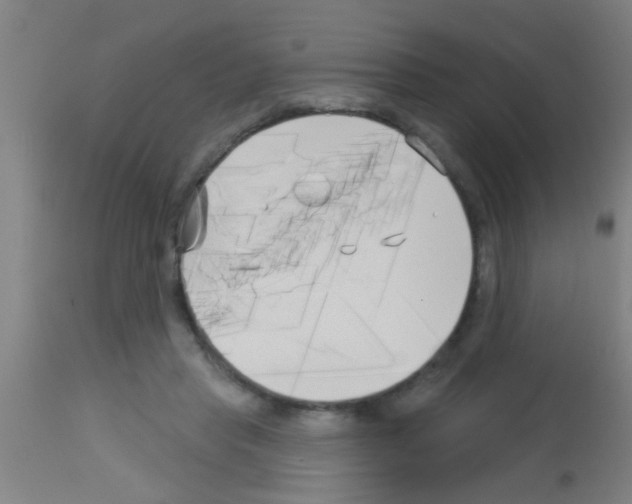 X0000113160453200910161248