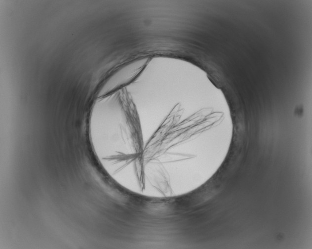 X0000113160454200910161248