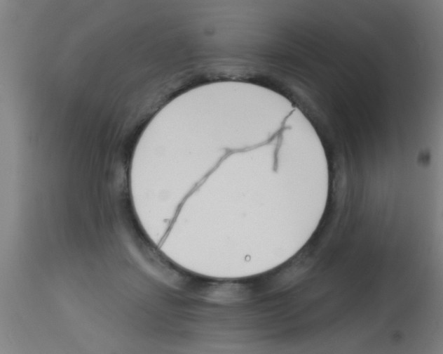 X0000113160459200910161248