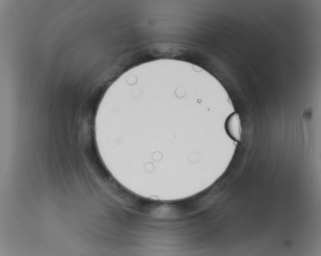 X0000113160460200910161248