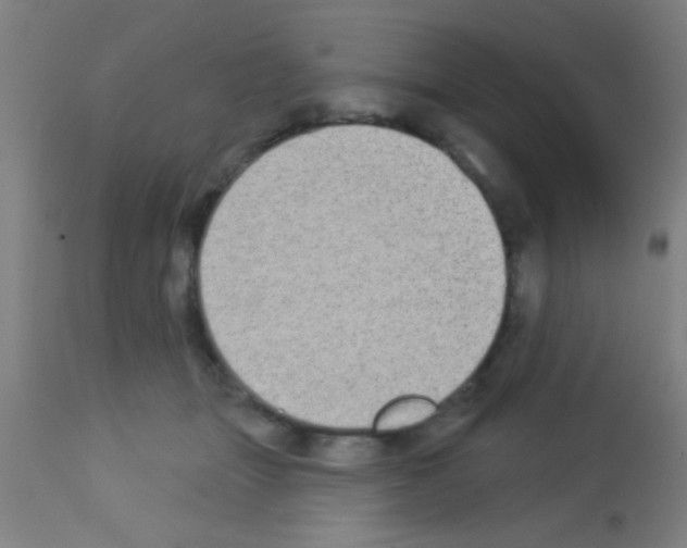 X0000113160463200910161248