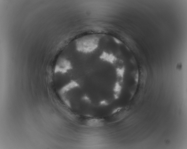 X0000113160465200910161248