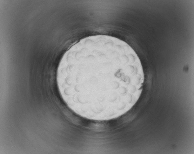 X0000113160466200910161248