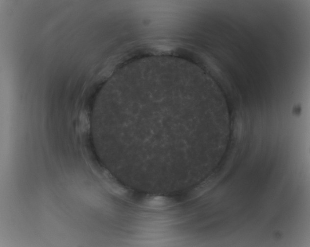 X0000113160467200910161248