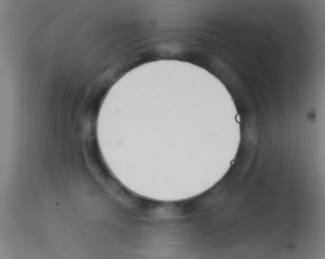 X0000113160468200910161248