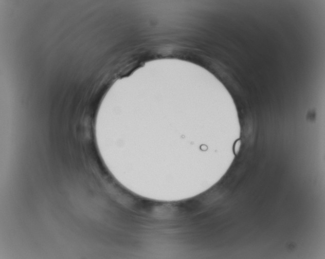 X0000113160470200910161248