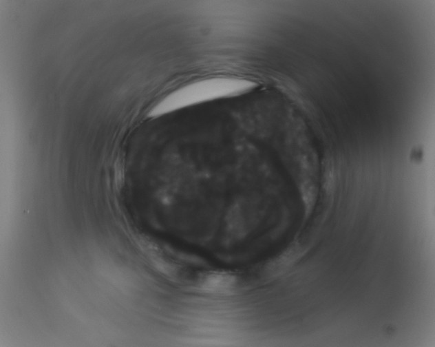 X0000113160471200910161248