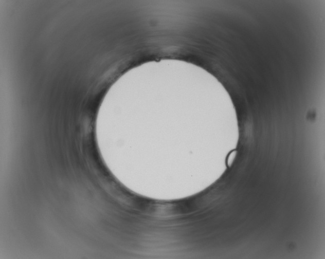 X0000113160472200910161248