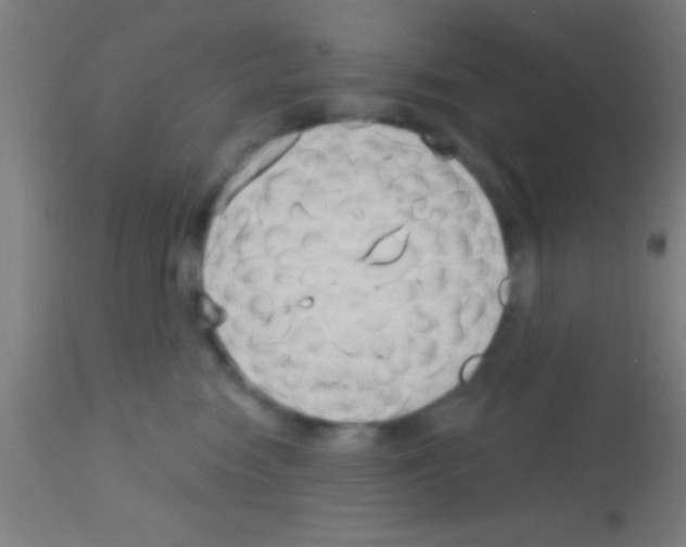 X0000113160474200910161248