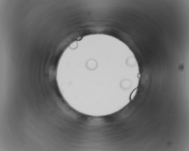 X0000113160476200910161248