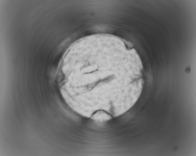 X0000113160478200910161248