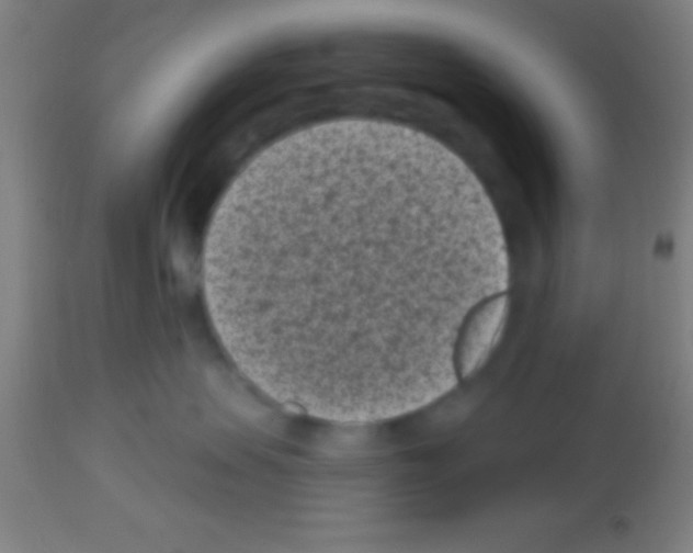 X0000113160479200910161248