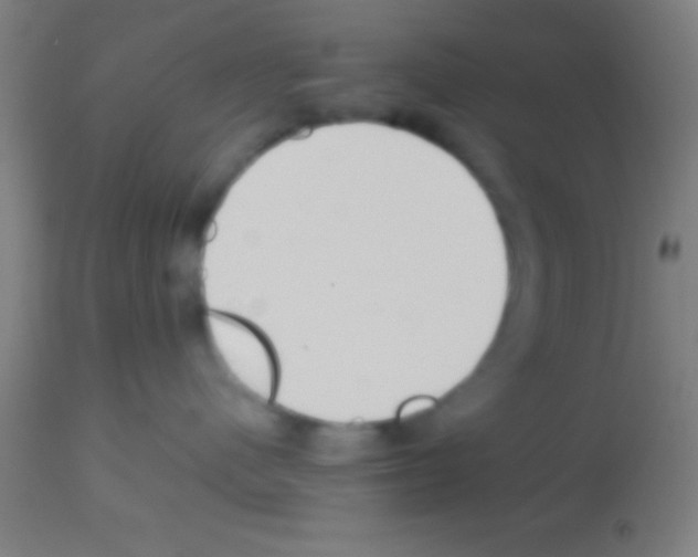 X0000113160480200910161248